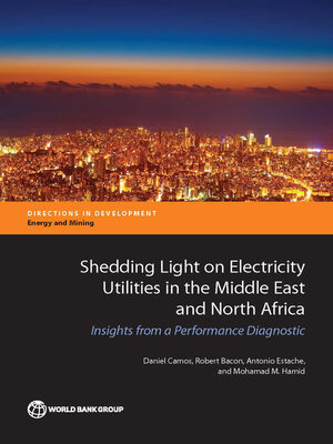 cover image of Shedding Light on Electricity Utilities in the Middle East and North Africa